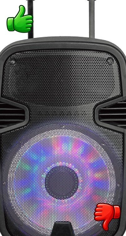 Altavoz Sakkyo NPL2213DSP Trolley Micrófono 4500mah batería 500W